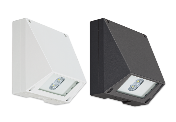 SAFE W-2F
